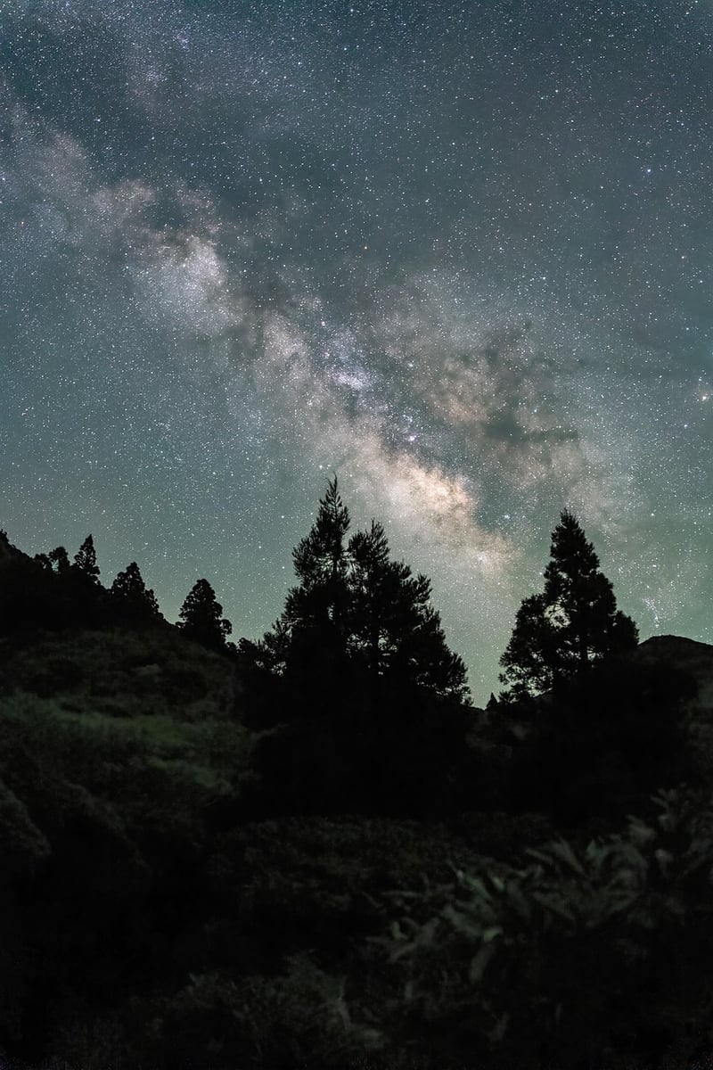 Starry Sky Garden